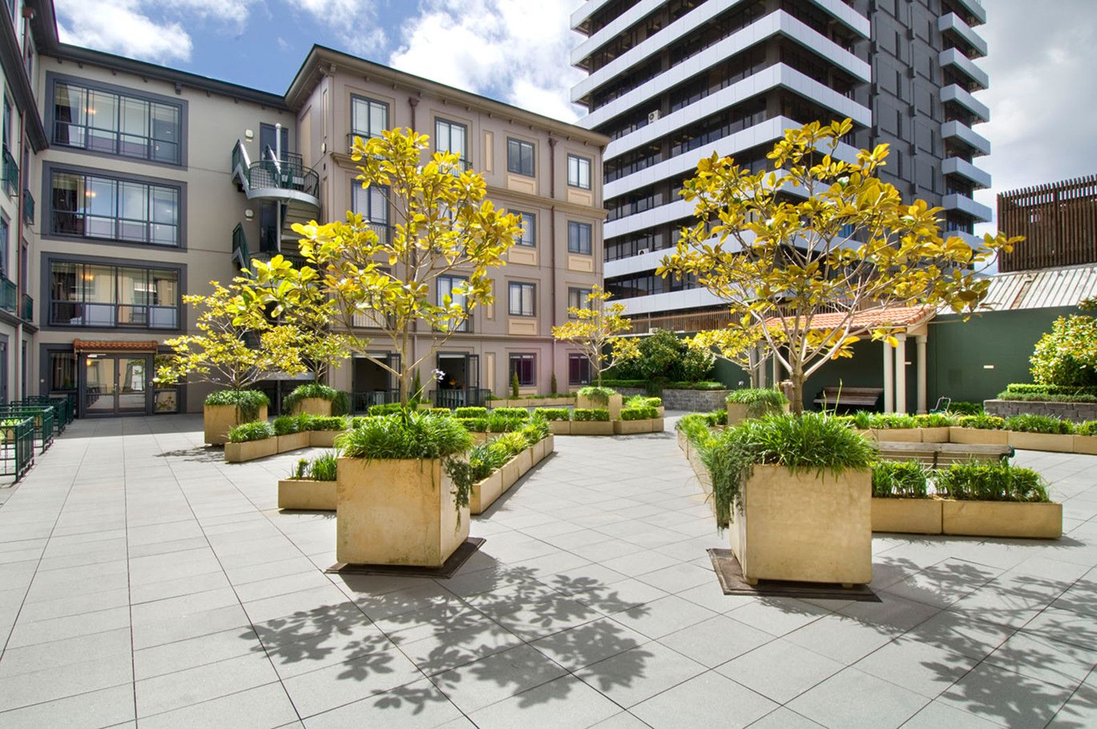 AUCKLAND CENTRAL, Auckland City