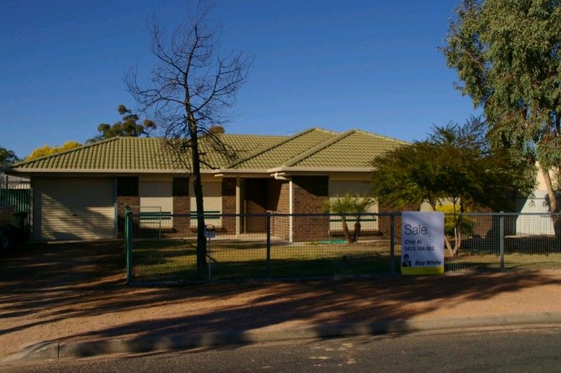 22 Murray Price Drive, RENMARK, SA 5341