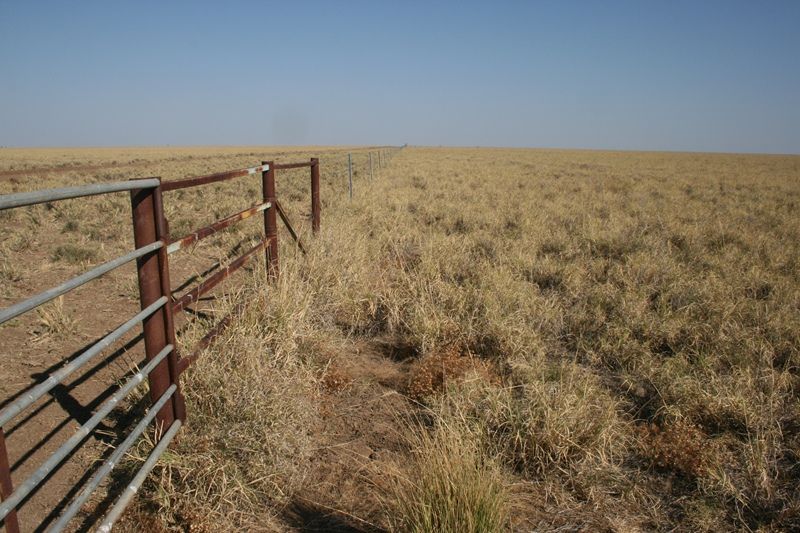 JULIA CREEK, QLD 4823