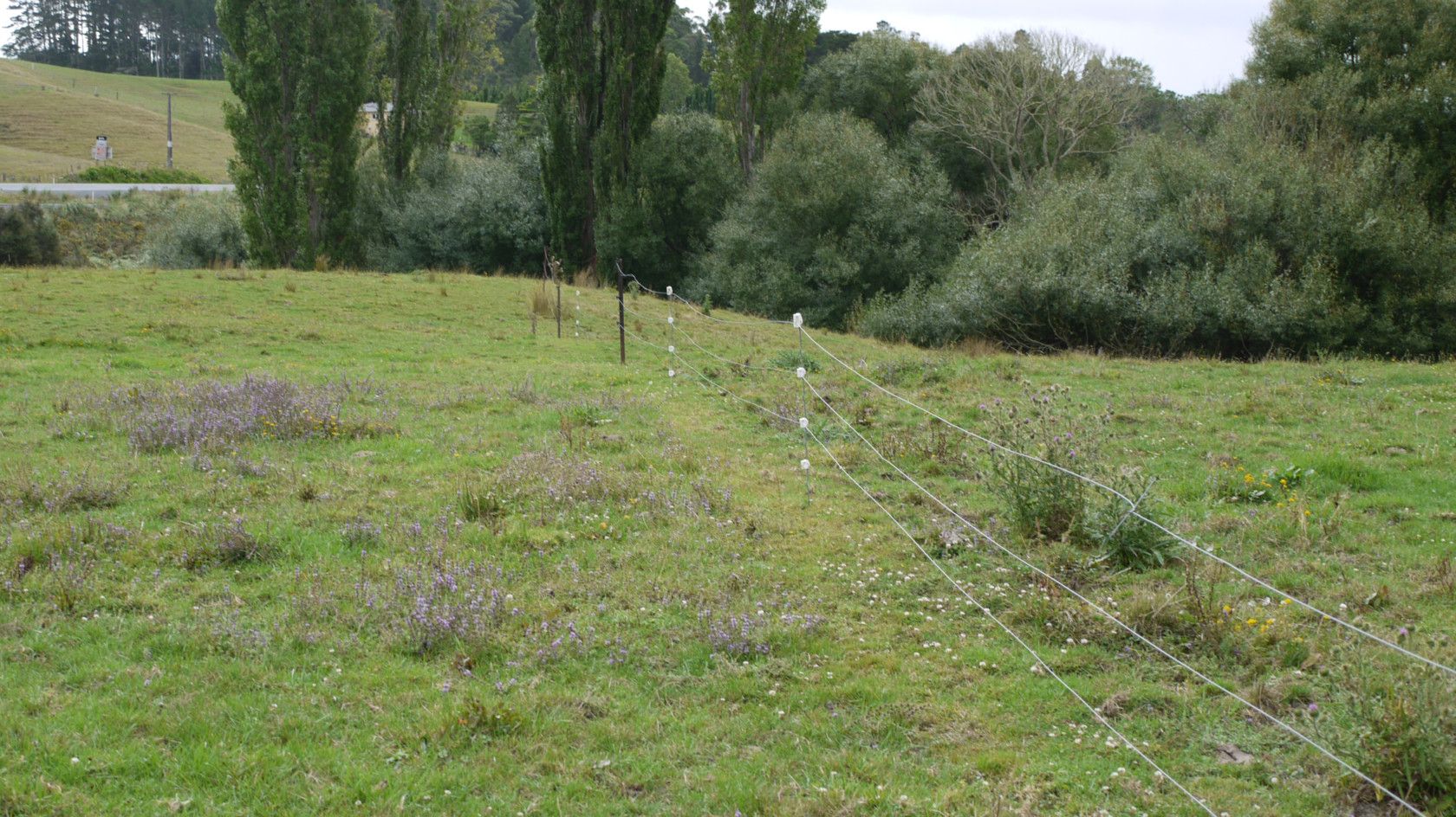 WELLSFORD, Rodney