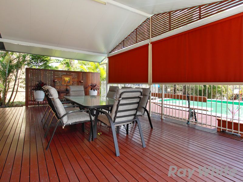 20 Renita Street, ASPLEY, QLD 4034