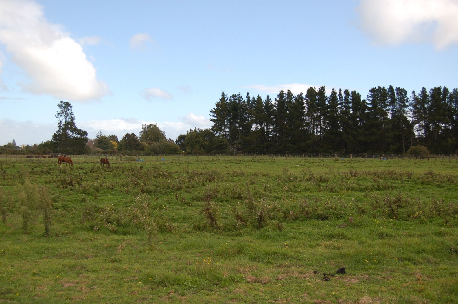 . Windmill Road, TAMAHERE, Waikato District