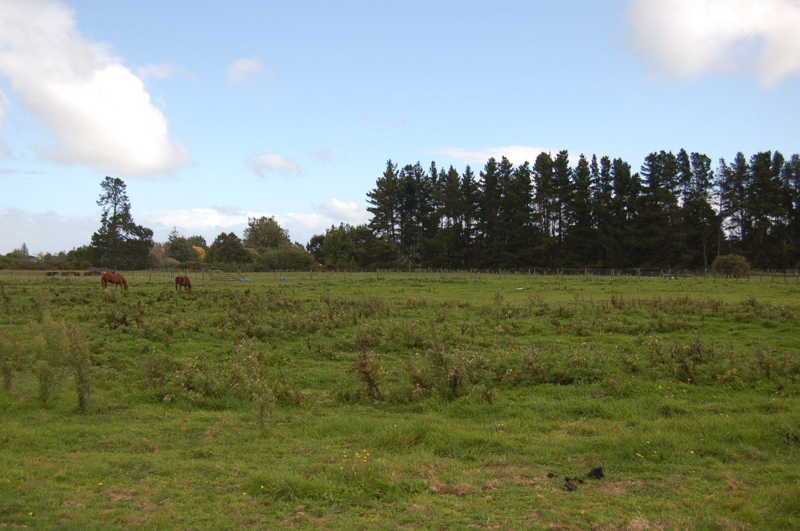 . Windmill Road, TAMAHERE, Waikato District
