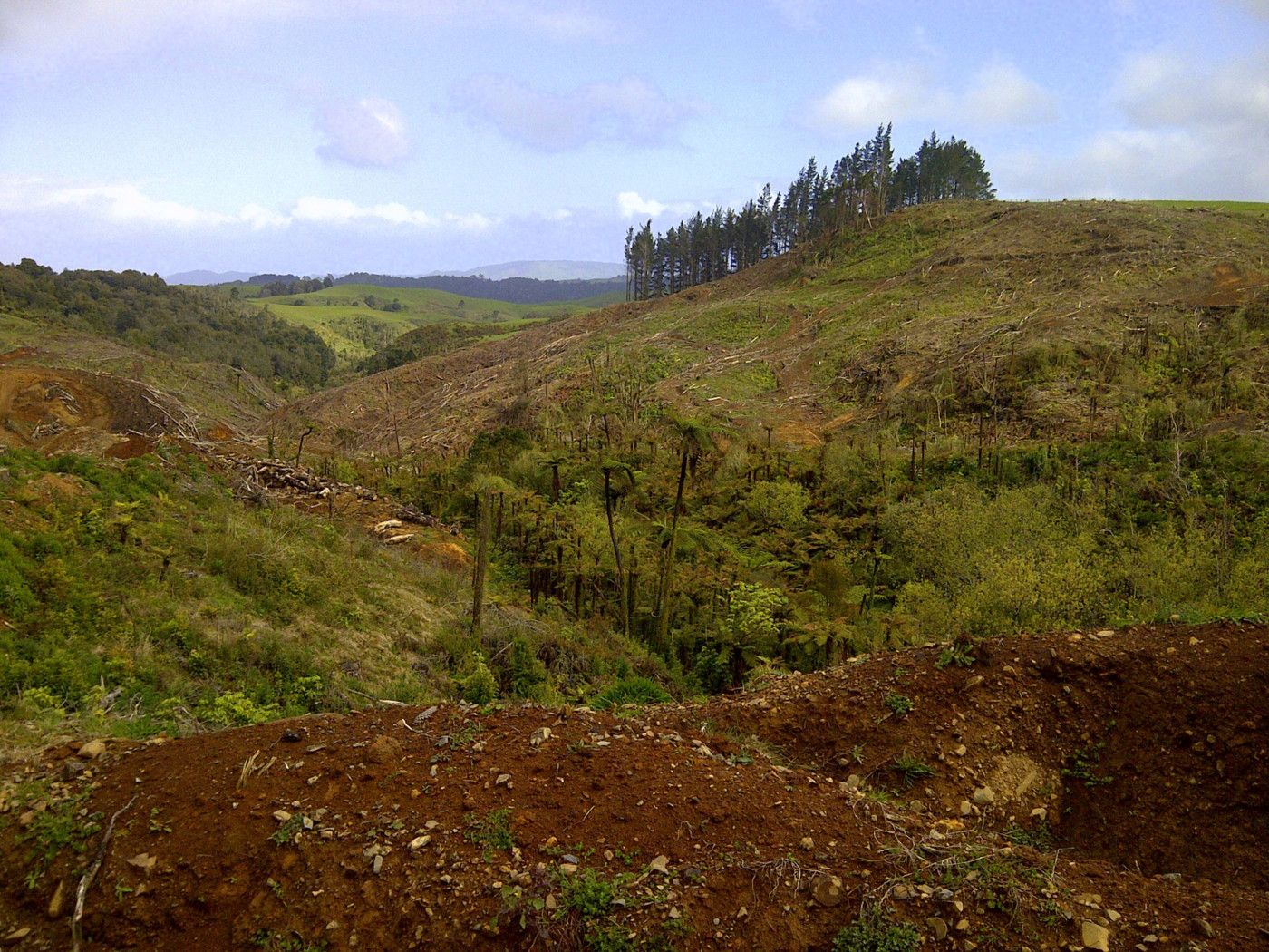 0 Kaimango Road, PIRONGIA, Waipa District