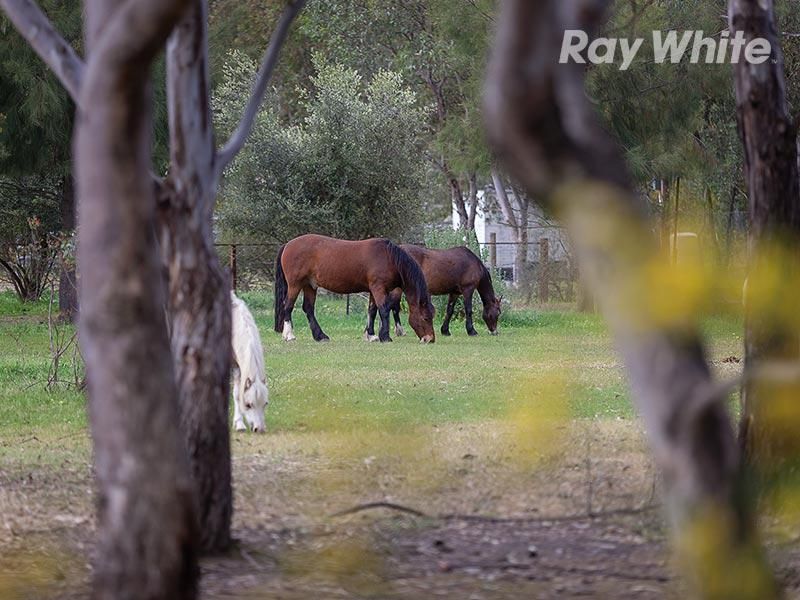 51 Molkentin Road, JINDERA, NSW 2642