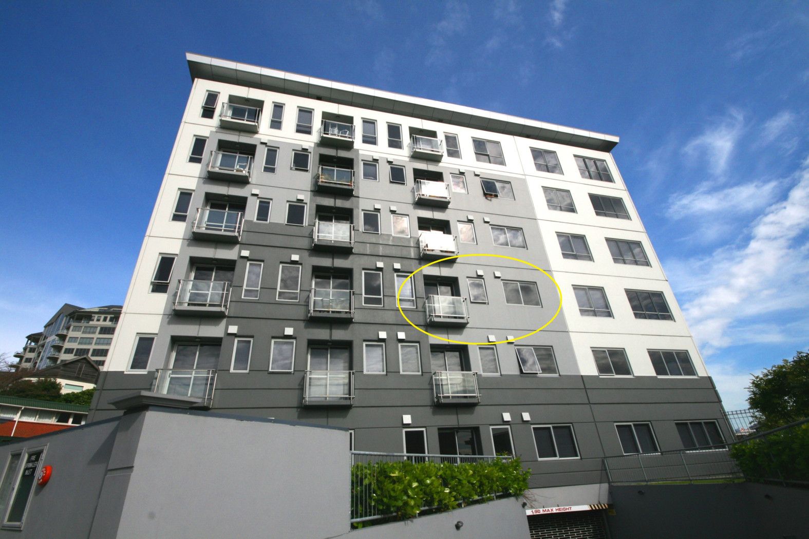 AUCKLAND CENTRAL, Auckland City