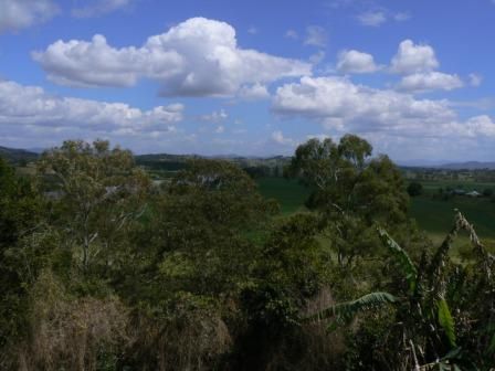 TAREE, NSW 2430