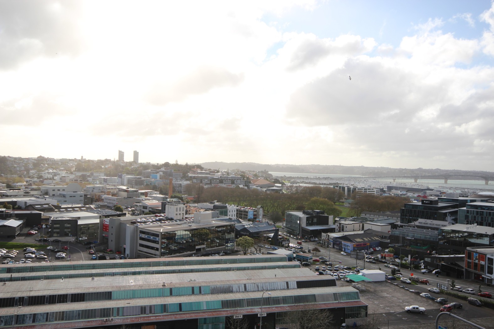 AUCKLAND CENTRAL, Auckland City