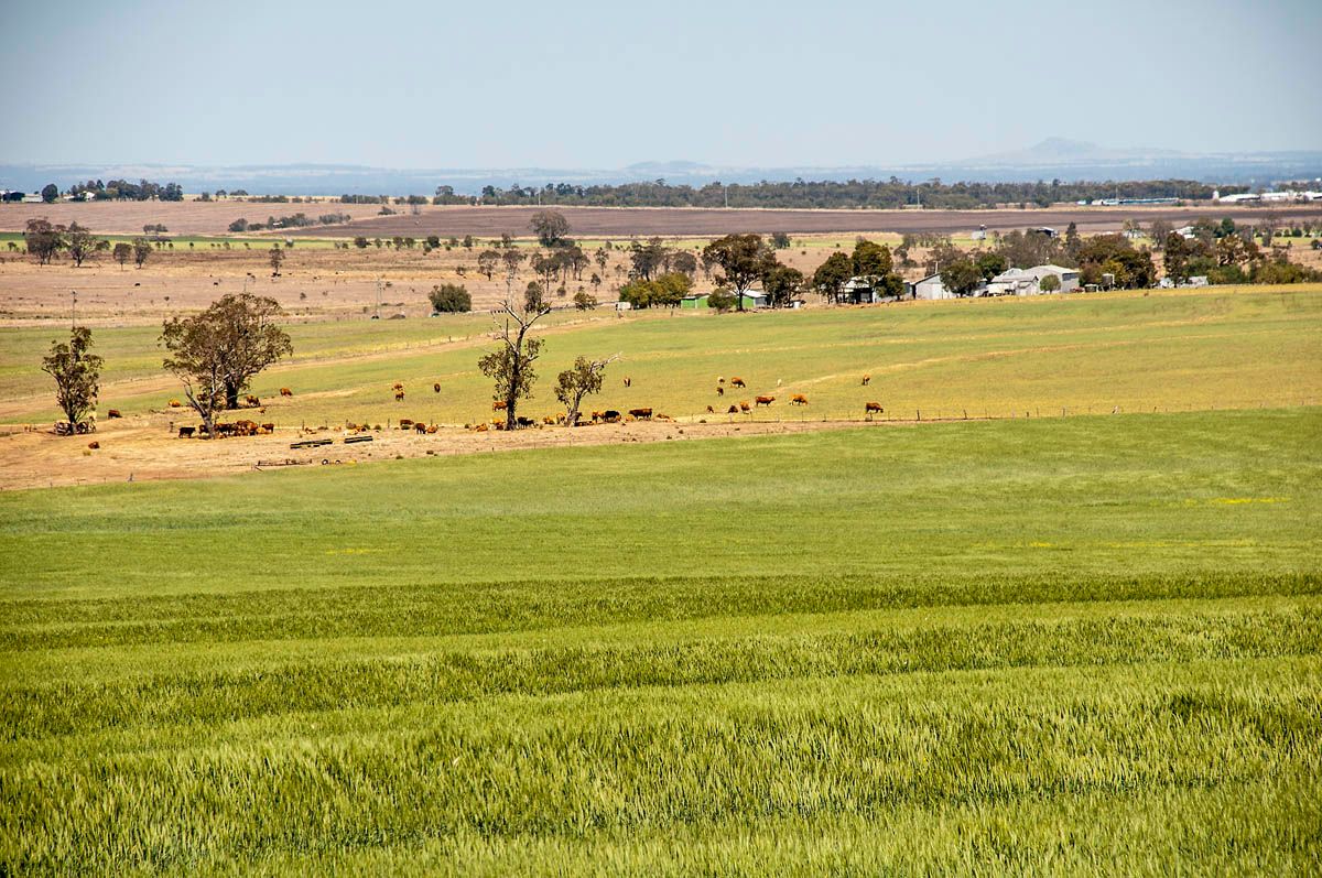 Lot 1 Millmerran Road, YARRANLEA, QLD 4356