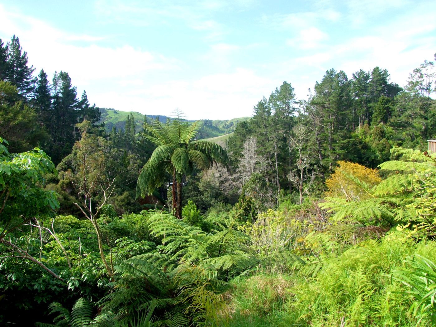 . Shepherd Road, PERIA, Far North District