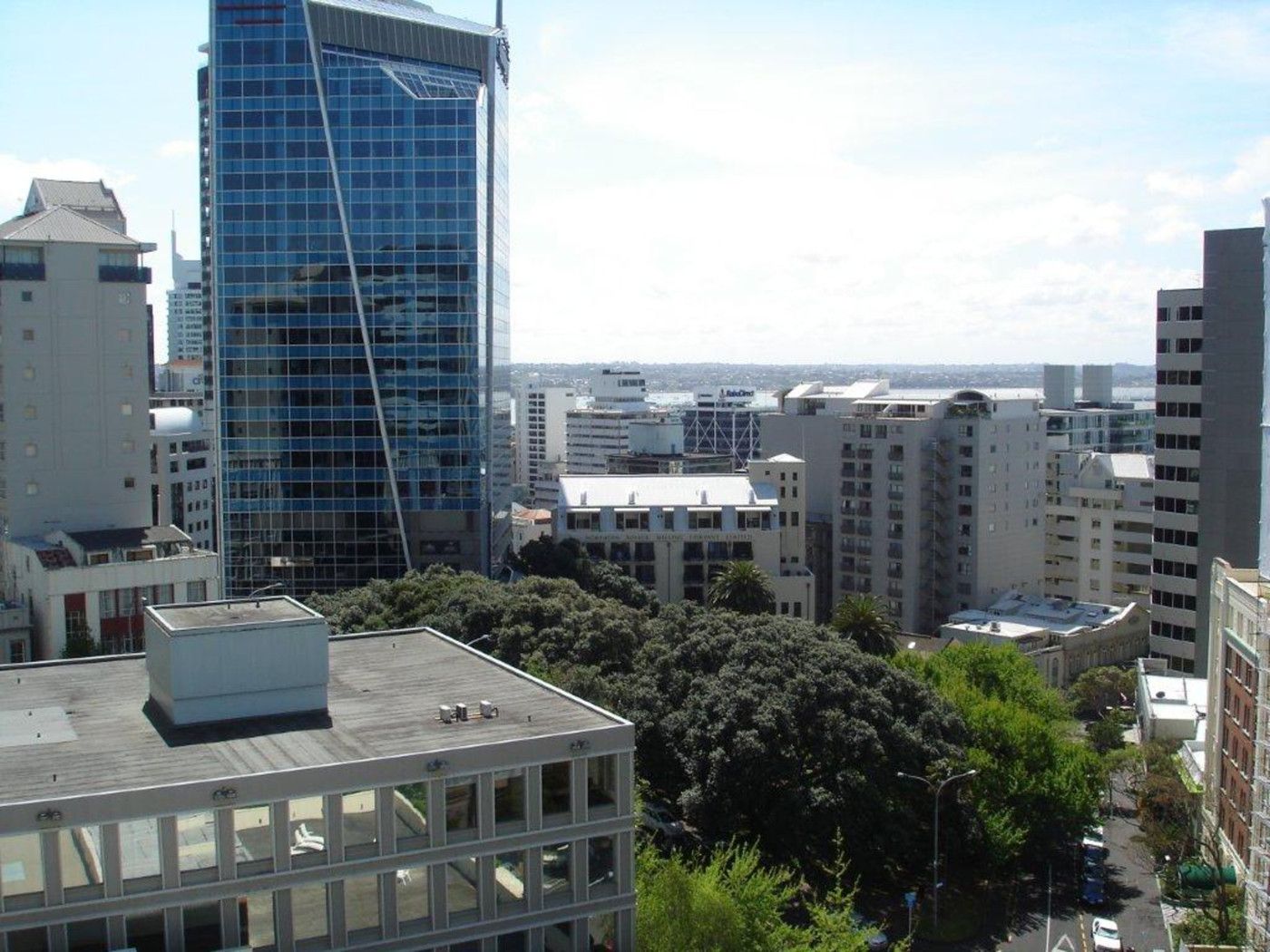 AUCKLAND CENTRAL, Auckland City