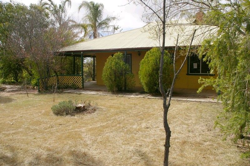 125 Etiwanda Street, RENMARK, SA 5341