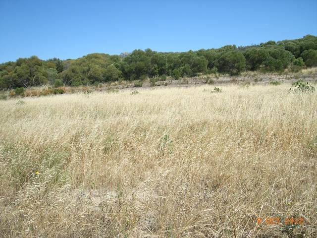 Lot 731 Premier Circle, DONGARA, WA 6525