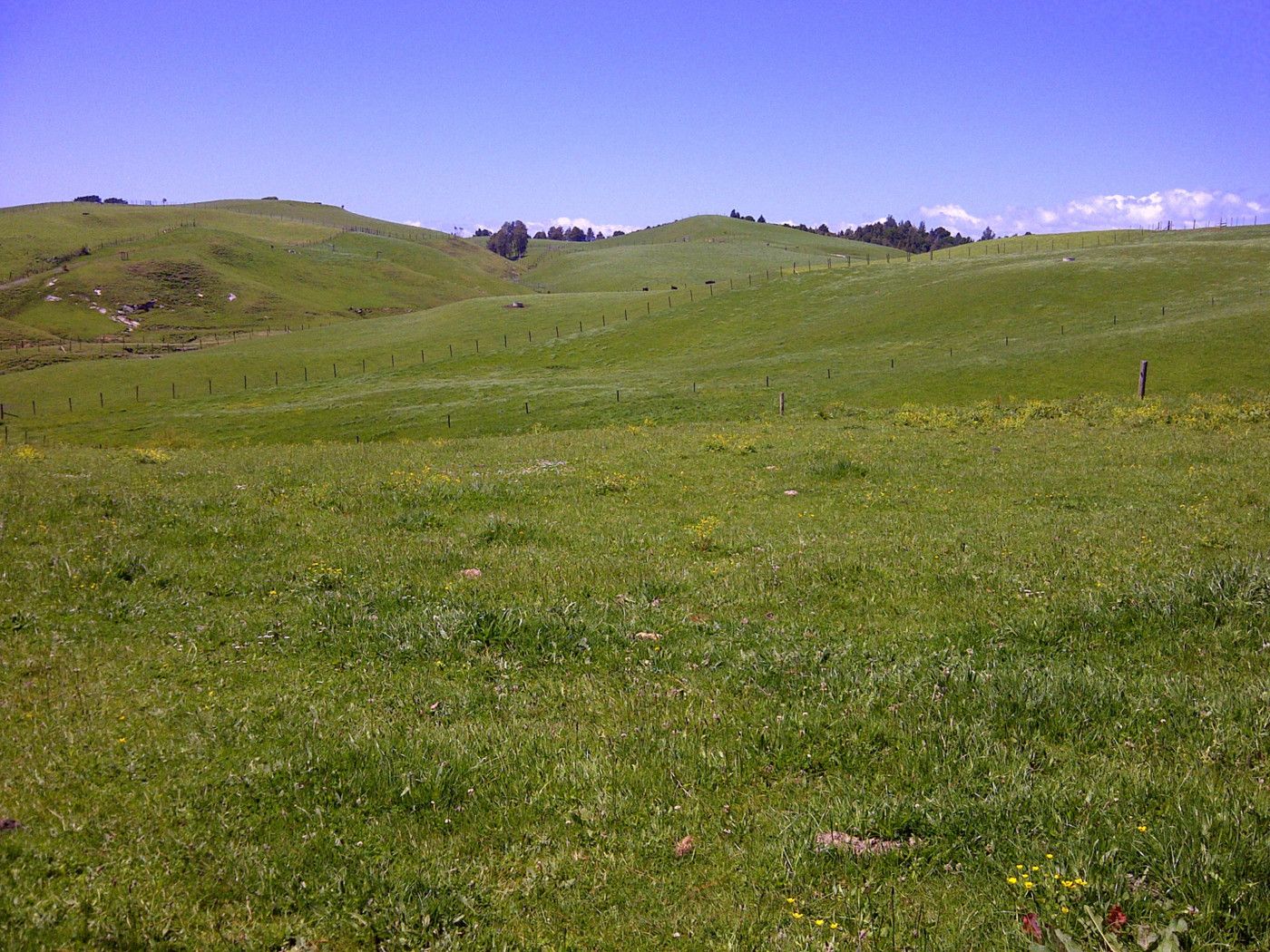1028 Limeworks Loop Road, Te Pahu, Waipa District