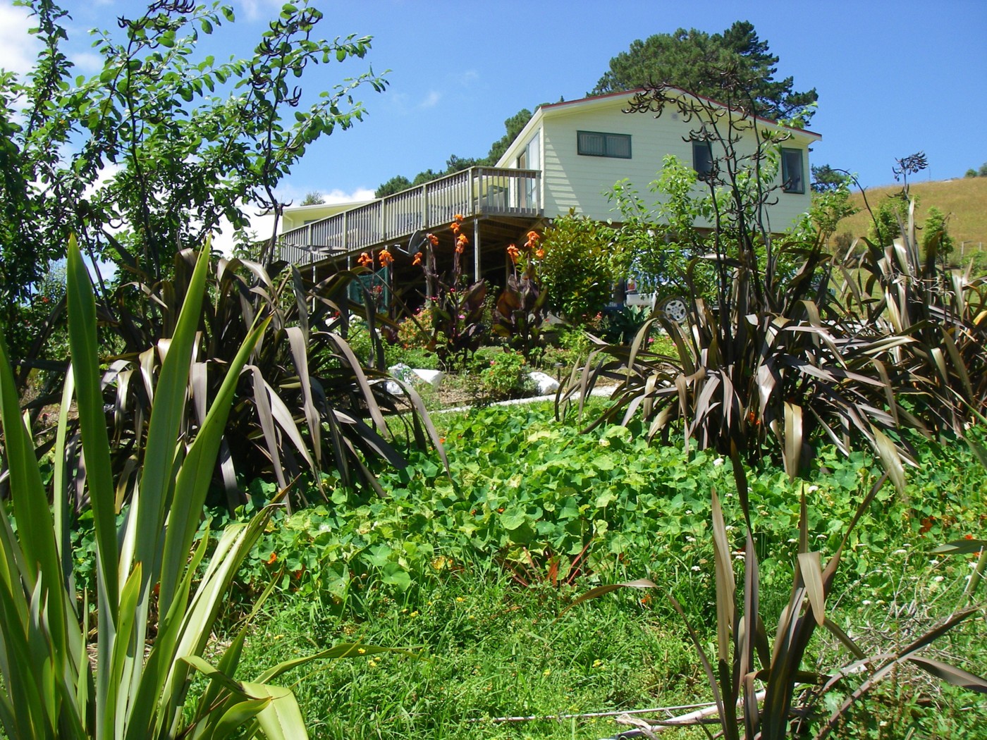 21 Williams Street, SANDSPIT, Rodney