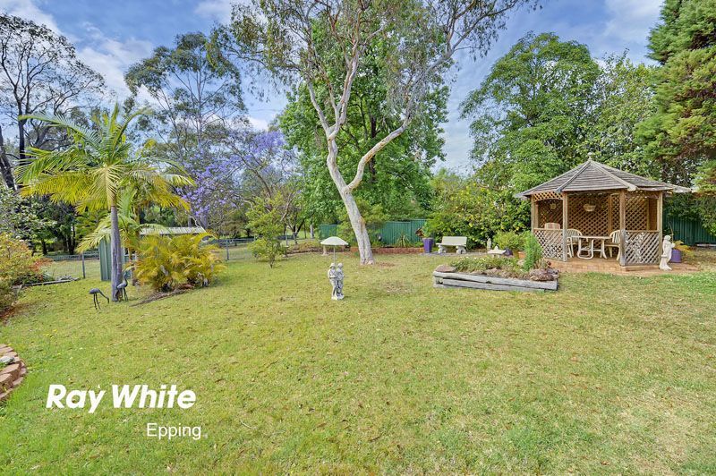 50 Raimonde Road, CARLINGFORD, NSW 2118