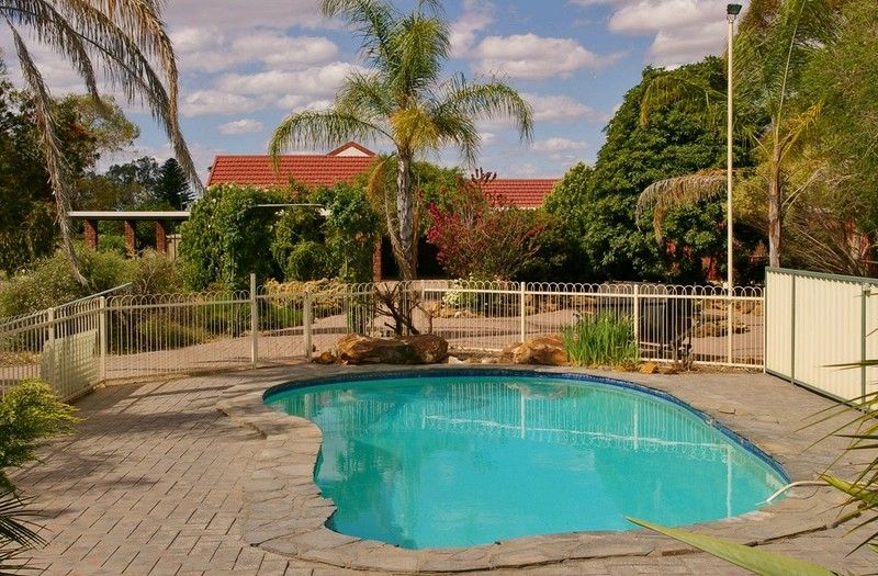 214 Paroo Street, RENMARK, SA 5341