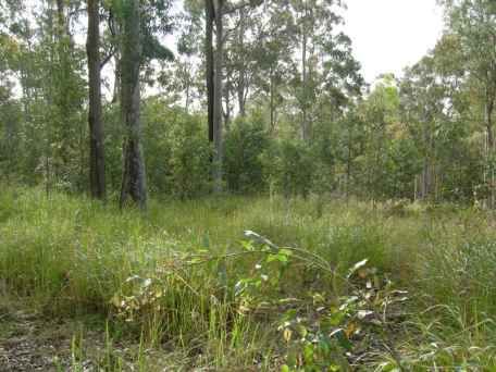 MINIMBAH, NSW 2312