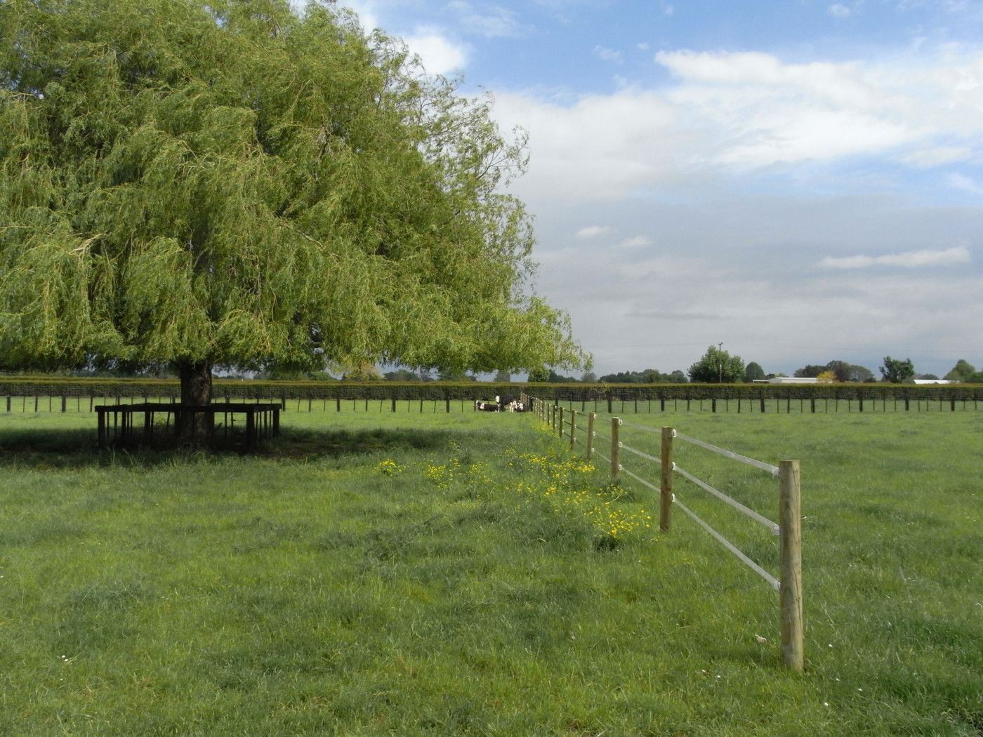 Lot 2 Day Road, TAMAHERE, Waikato District