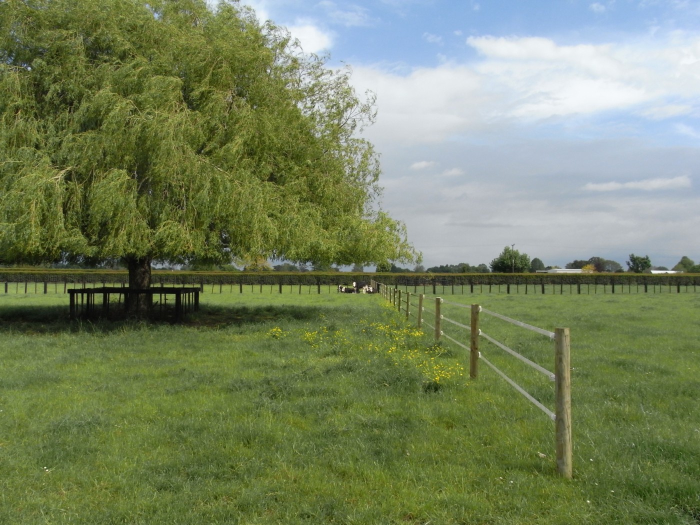 Lot 2 Day Road, TAMAHERE, Waikato District
