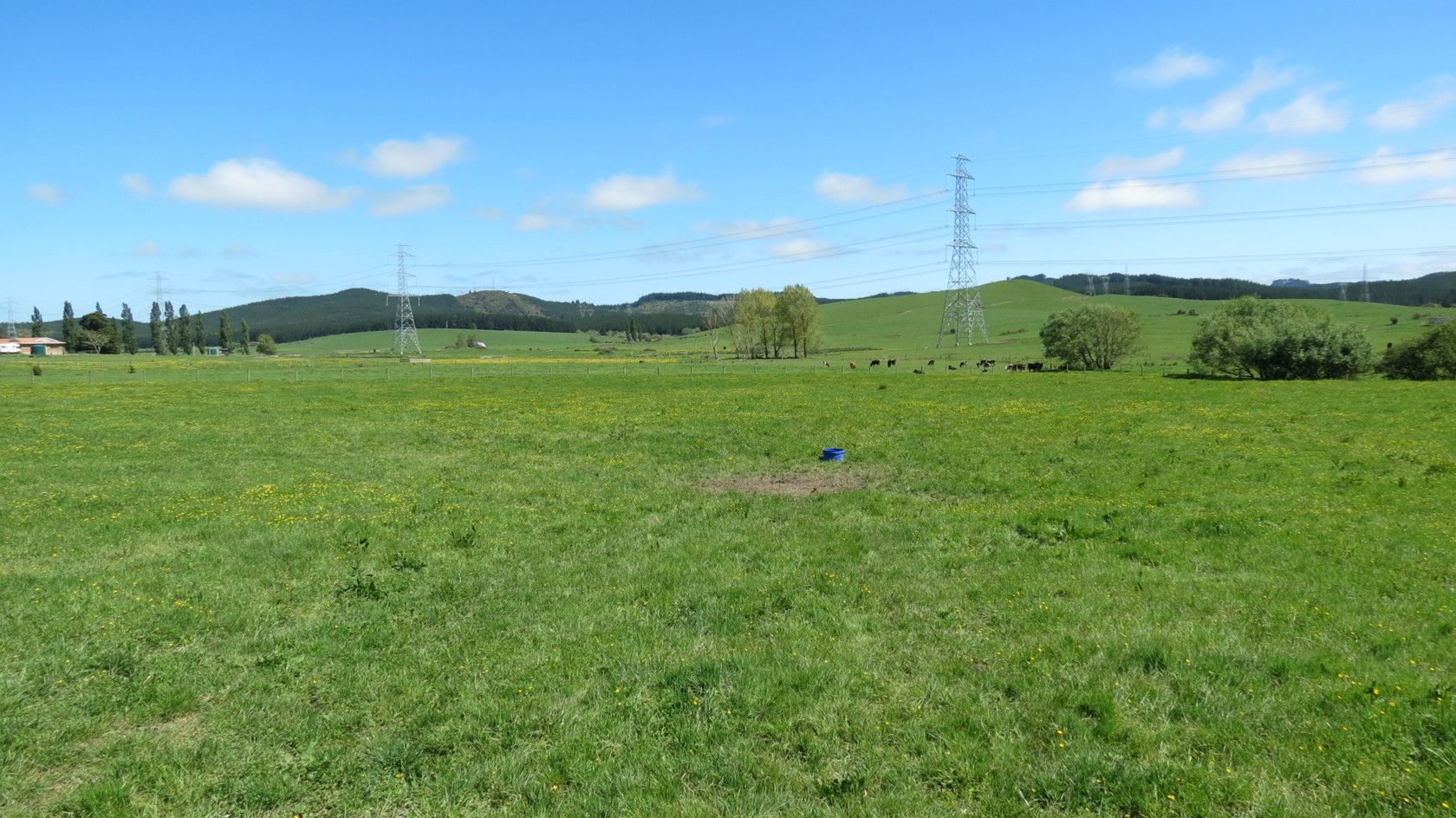 7 Symes Road, Maramarua, Waikato District