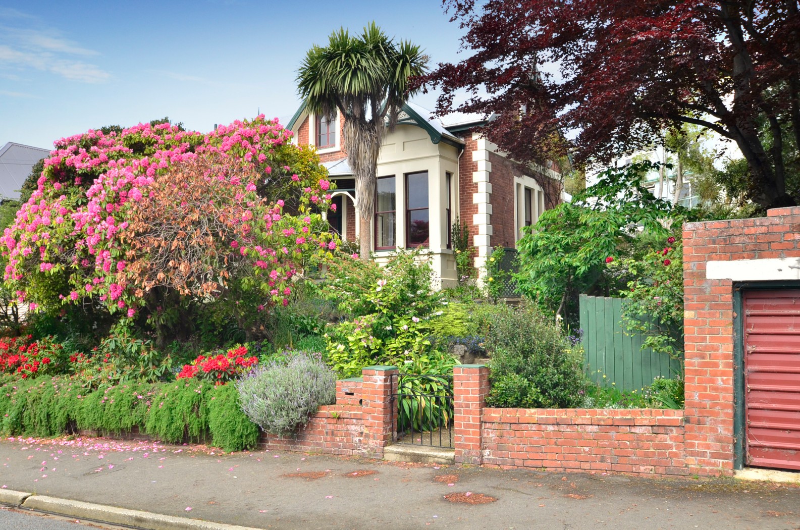 49 Lees Street, DUNEDIN CENTRAL, Dunedin City