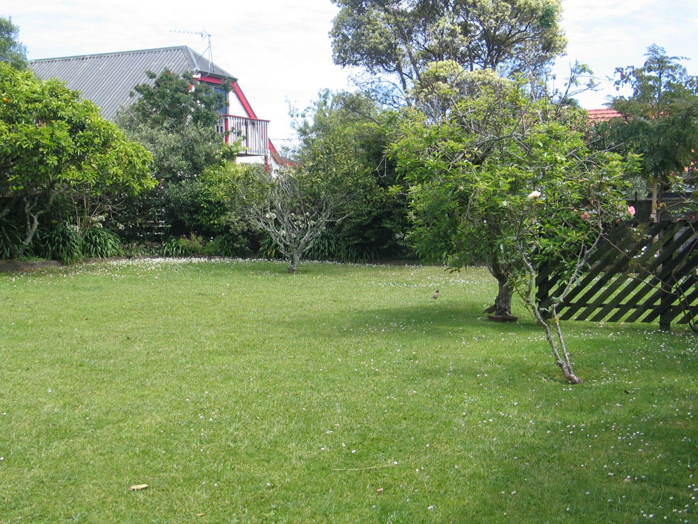 DEVONPORT, North Shore City