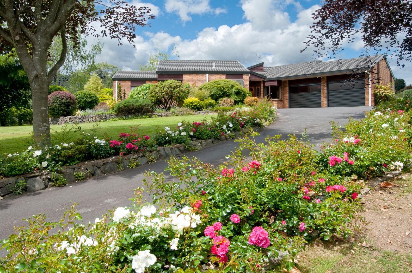54 Westridge Drive, BETHLEHEM, Tauranga City