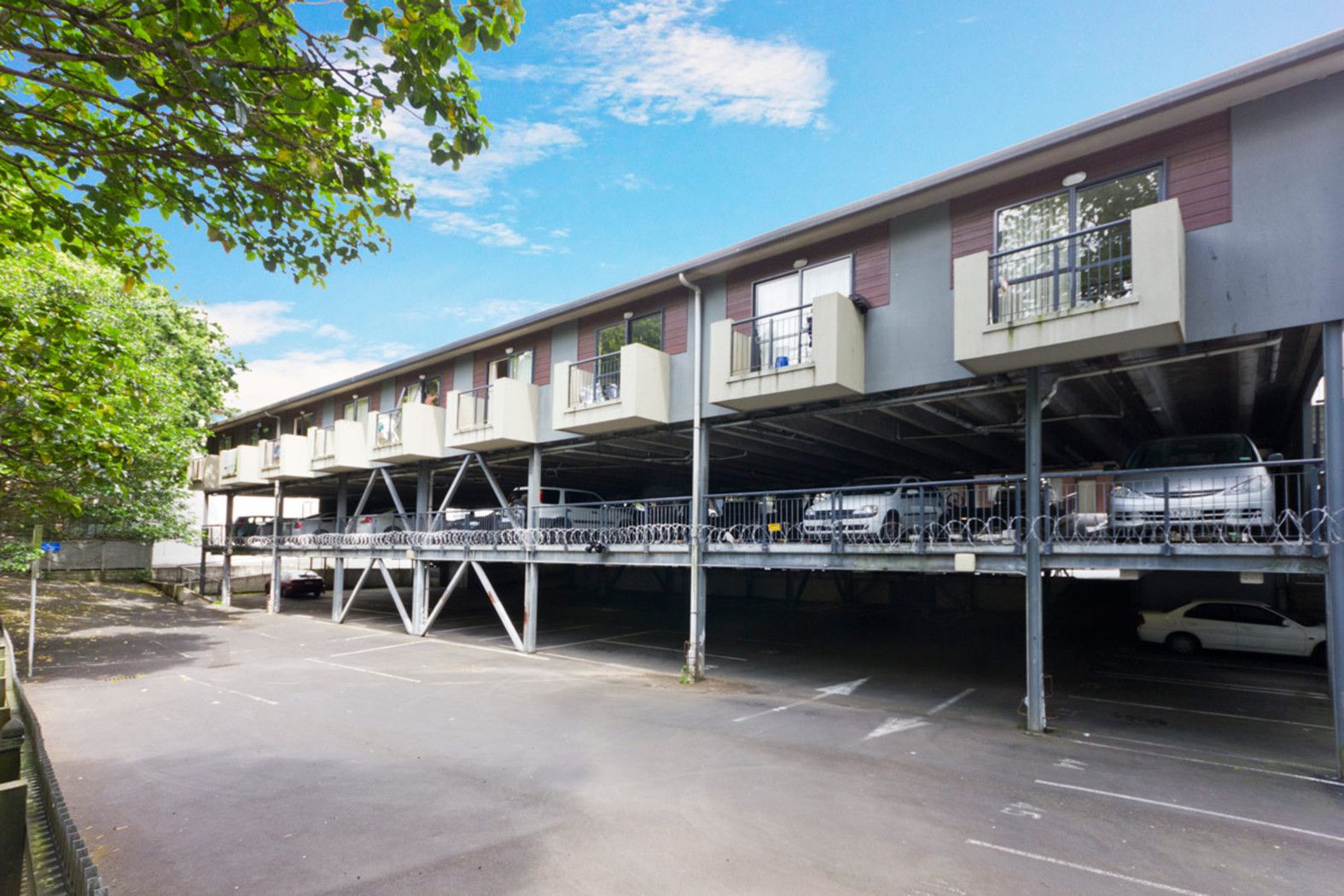 AUCKLAND CENTRAL, Auckland City