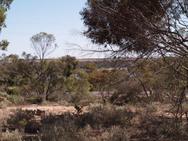 15 Holder Bottom Road, WAIKERIE, SA 5330