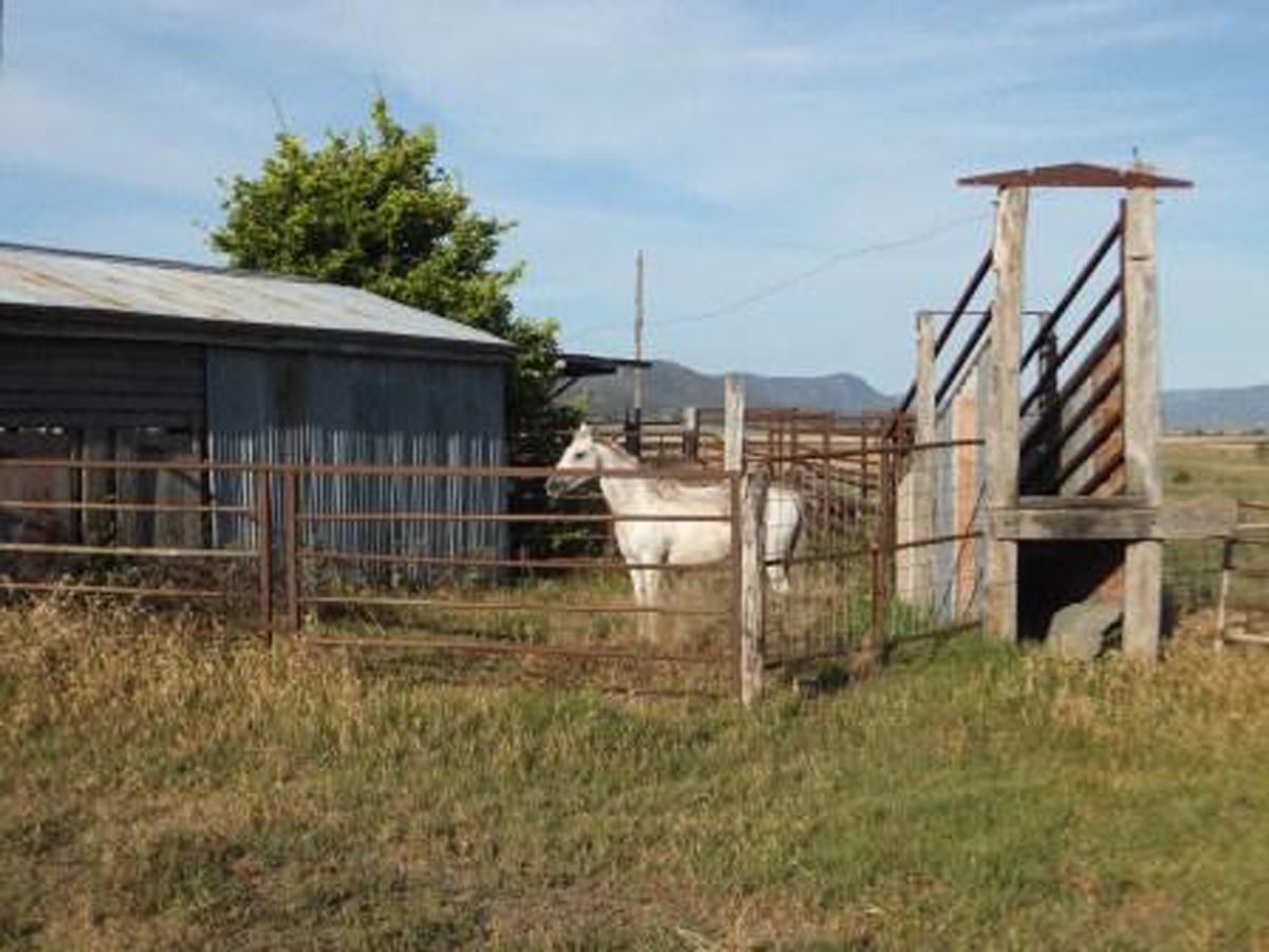 101 Doyles Road, CLINTONVALE, QLD 4370