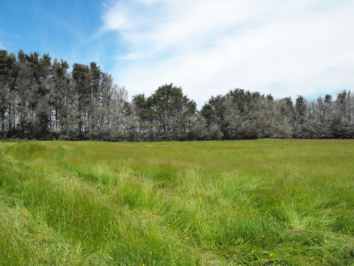 95a Limmer Road, Te Kowhai, Kaipara District