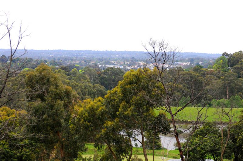 89 Ferndale Road, UPPER FERNTREE GULLY, VIC 3156