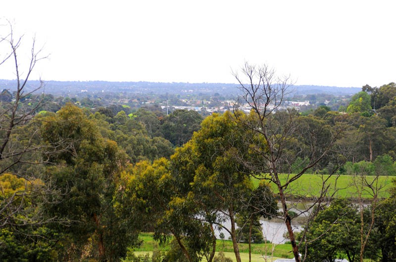 89 Ferndale Road, UPPER FERNTREE GULLY, VIC 3156