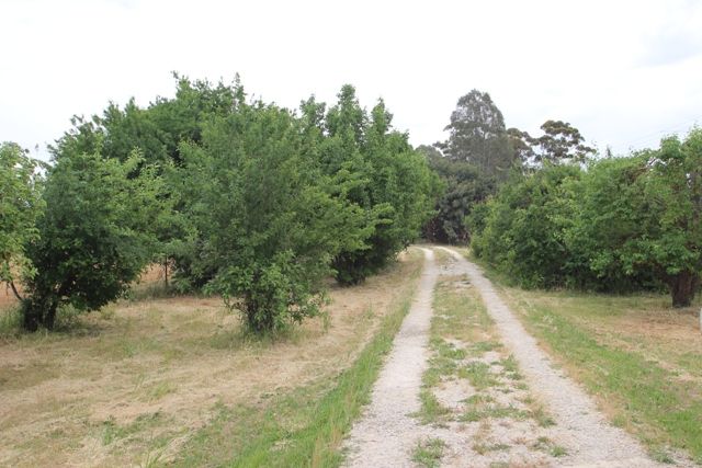 Section 56 Main North Road, STANLEY FLAT, SA 5453