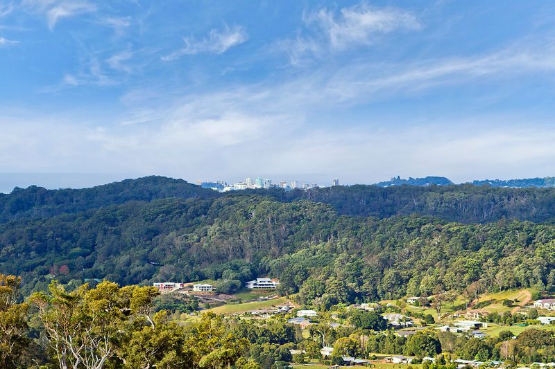 489 Trees Road, TALLEBUDGERA QLD 4228