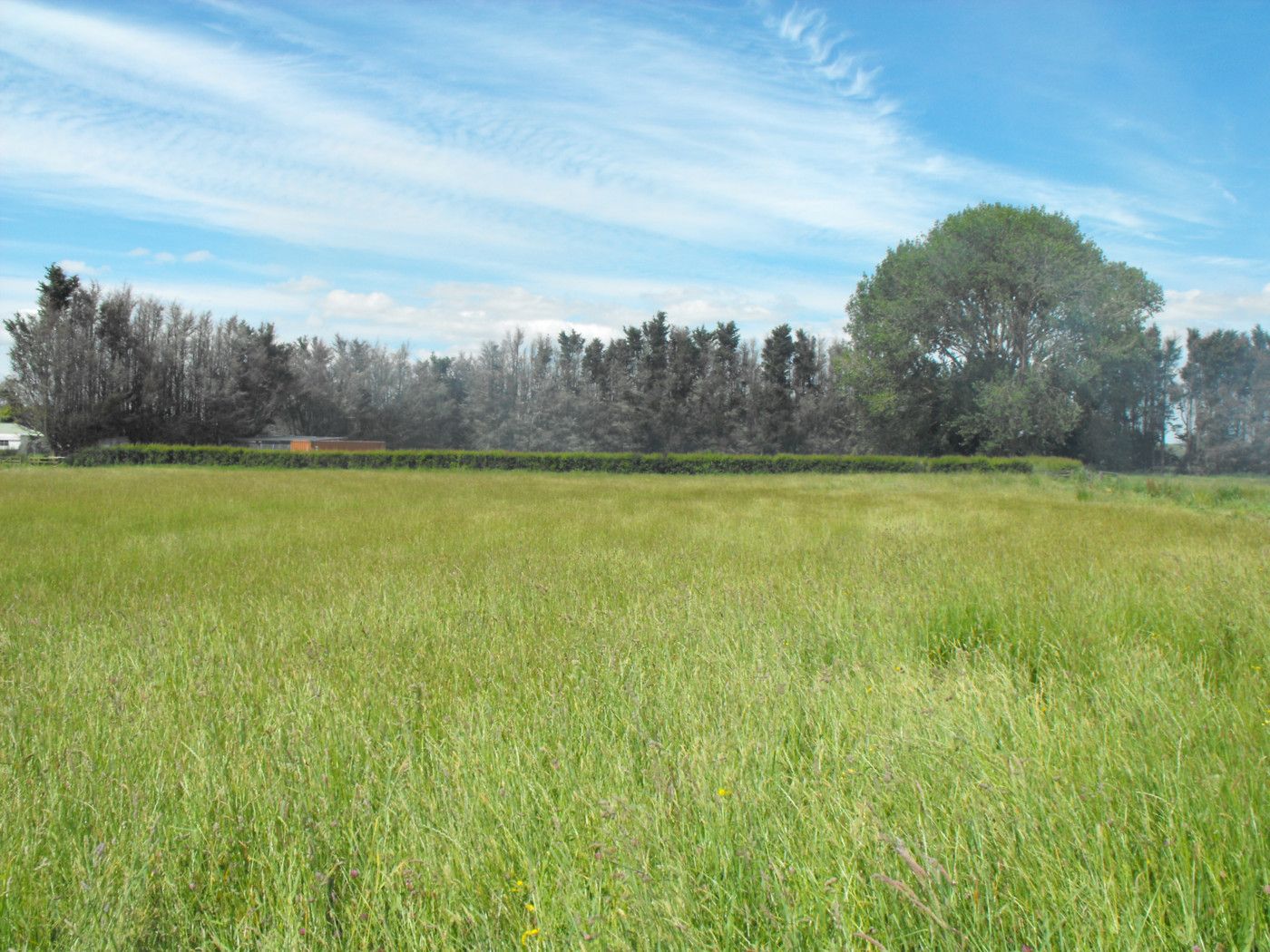 95b Limmer Road, Te Kowhai, Kaipara District