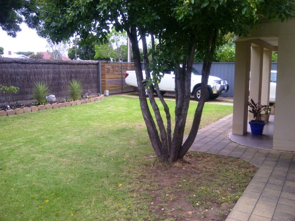 313 Anzac Highway, PLYMPTON, SA 5038
