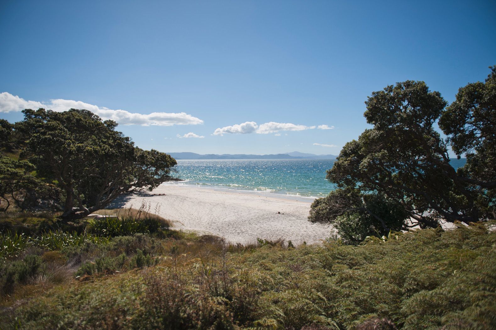 39 Otama Beach Road, Opito, Thames Coromandel District