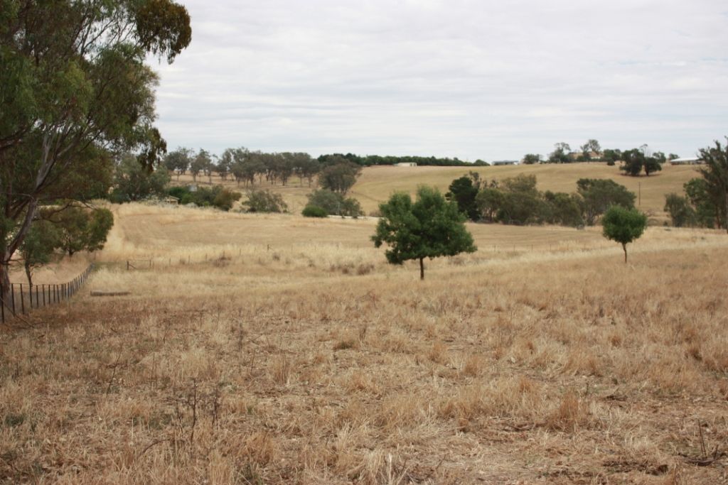 120 James Lane, YOUNG, NSW 2594