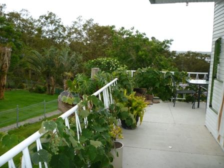 30 Barina Avenue, KILABEN BAY, NSW 2283