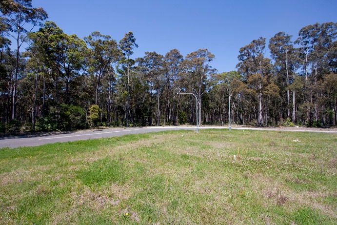 Lot 31 Candlebark Close, WEST NOWRA, NSW 2541