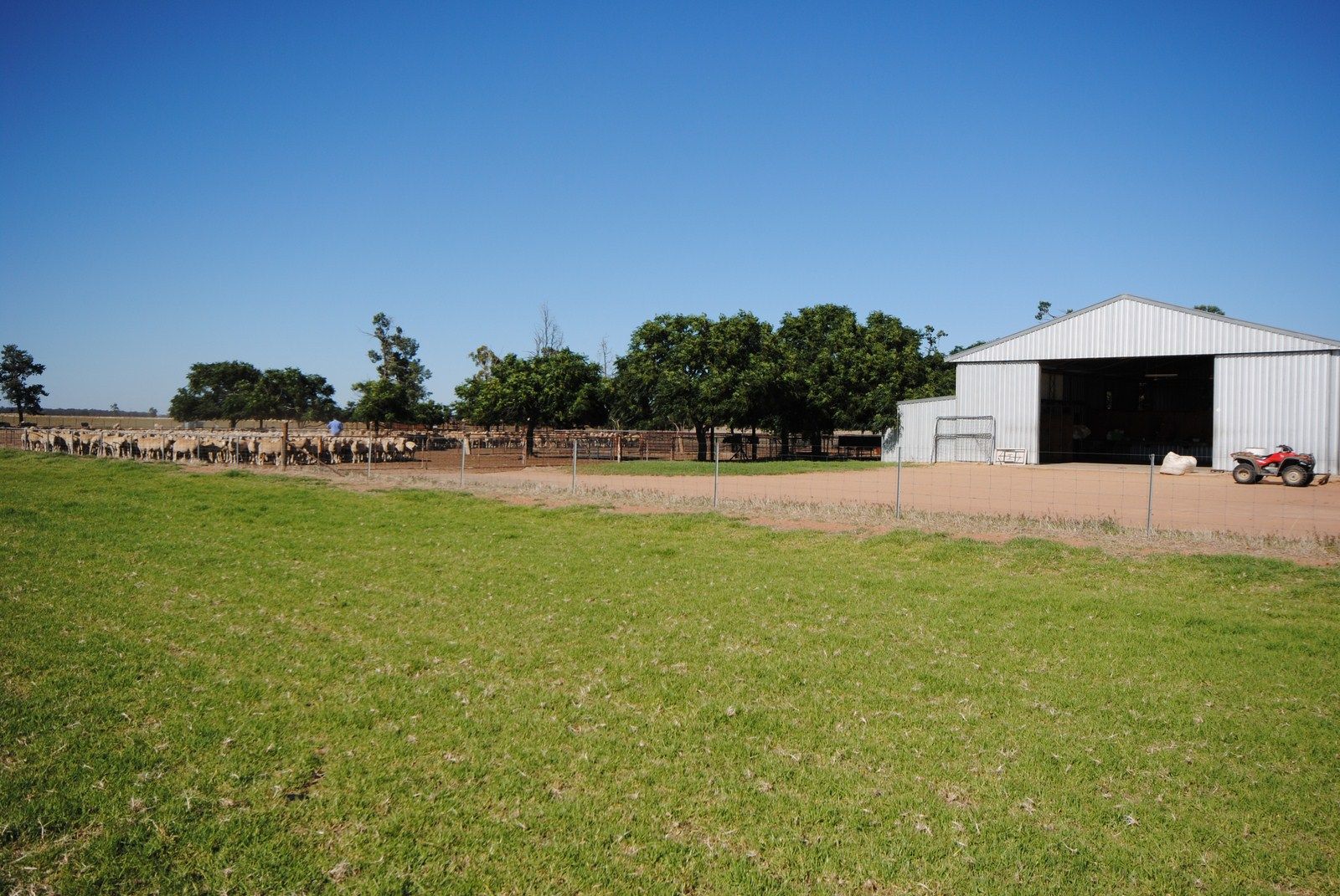 Part 'Koonwarra', Sturt Highway, DARLINGTON POINT, NSW 2706