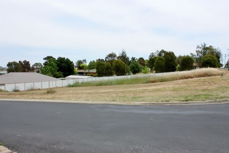 53 Back Creek Road, YOUNG, NSW 2594