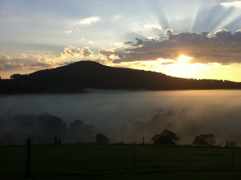 WINGHAM, NSW 2429