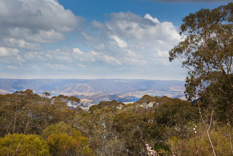 96 Victoria Street, MOUNT VICTORIA, NSW 2786