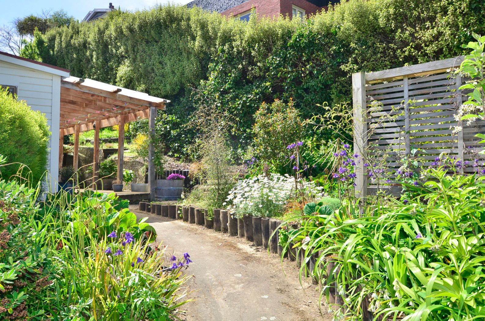 8 Leicester Street, NORTH EAST VALLEY, Dunedin City
