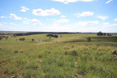 Lot 6 Dog Rocks Road, BLACK SPRINGS NSW 2787