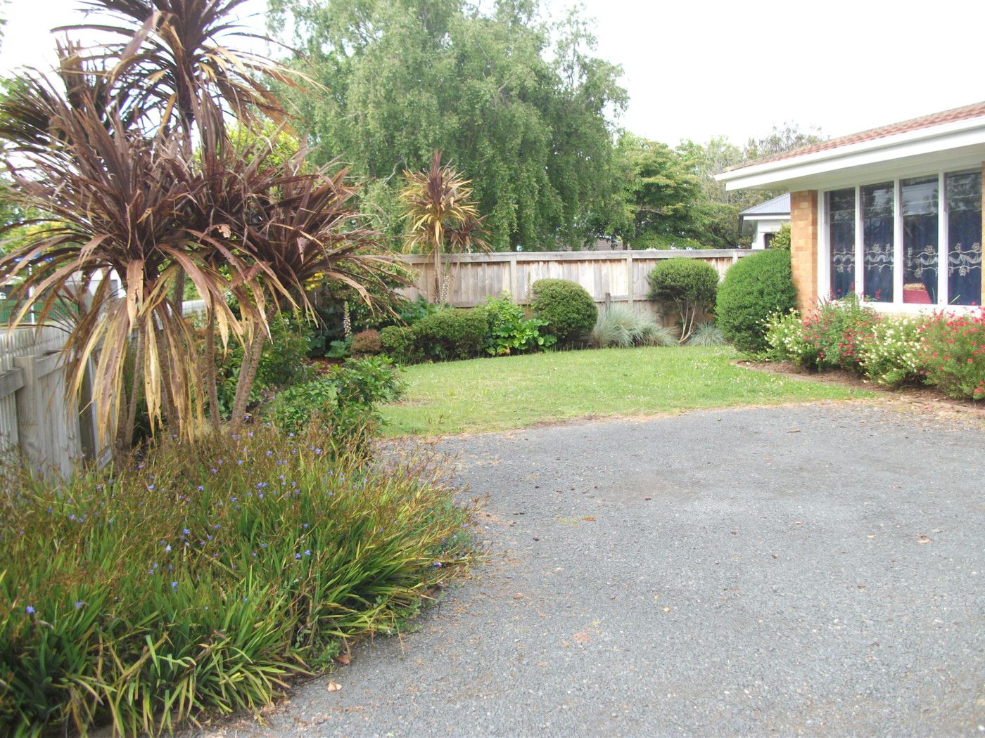 35 Gillies Avenue, CLAUDELANDS, Hamilton City