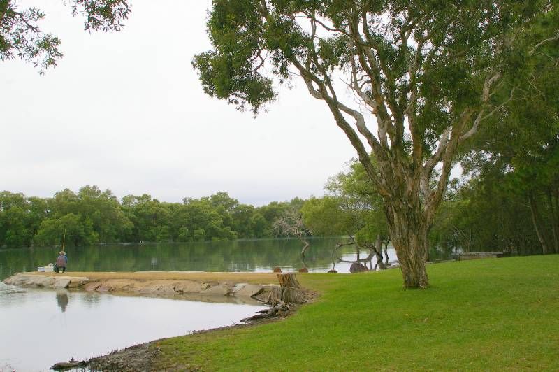 3 Eucalyptus Street, NINGI, QLD 4511